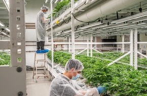 Astrasana Holding AG: Cannabis auf Rezept - Versorgungsengpass in der Schweiz abgewendet