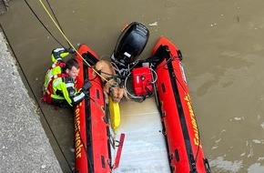 Feuerwehr Bremerhaven: FW Bremerhaven: Feuerwehrtauchergruppe rettet Vierbeiner aus der Geeste