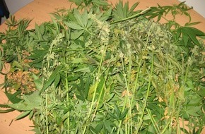 Polizeidirektion Göttingen: POL-GOE: (888/2007) 60 Cannabispflanzen in Innenstadtwohnung beschlagnahmt