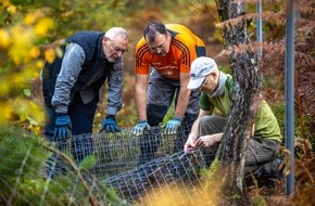 Bergwaldprojekt e.V.: Fast 20 Freiwillige räumen mit dem Bergwaldprojekt in Euskirchen wertvolle Naturschutzflächen nach der Flut auf