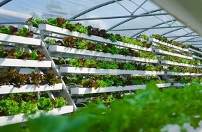 Deutsche Bundesstiftung Umwelt (DBU): Gemüseanbau in Stadtnähe / DBU fördert Startup "Pflanzentheke" mit 175.000 Euro