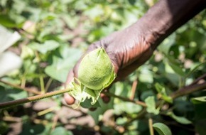 Aid by Trade Foundation: LPP neuer Partner von Cotton made in Africa - Baumwollinitiative gewinnt ersten polnischen Partner