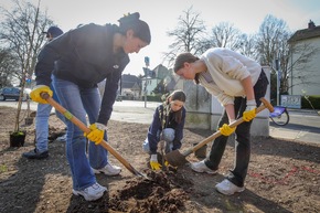BAUHAUS zieht positive Bilanz aus Waldinsel-Pflanzungen
