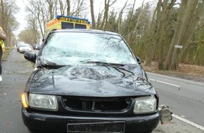 Polizeiinspektion Delmenhorst / Oldenburg - Land / Wesermarsch: POL-DEL: Landkreis Oldenburg: Verkehrsunfall durch umstürzenden Baum im Bereich Dötlingen