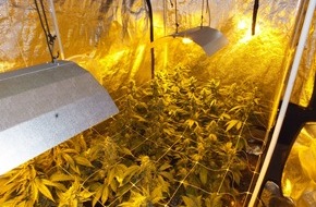 Polizeidirektion Bad Segeberg: POL-SE: Kreis Pinneberg - Außergewöhnlicher Ermittlungserfolg - Polizei stellt mehrere Cannabisplantagen sicher