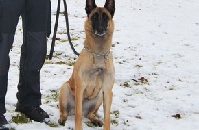 Kreispolizeibehörde Rhein-Kreis Neuss: POL-NE: Diensthund Otis bewies gute Spürnase