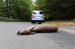 HUK-COBURG: Gut zu wissen: Tipps für den Alltag / Ein Reh kommt selten allein / Wer in der Dämmerung durch Waldstücke fährt, muss die Geschwindigkeit unbedingt anpassen (mit Bild)
