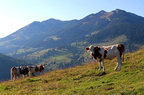 „Was ist, wenn der Bauer geht?“ Alpen.Gipfel.Europa.2022 diskutiert am 23. Juni über Zukunft der Berglandwirtschaft