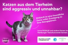 Mars GmbH: Mars-Studie: Unsicherheiten bremsen Tieradoptionen - Hamburger Kampagne schafft Orientierung