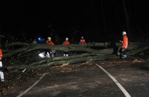 Polizeiinspektion Hameln-Pyrmont/Holzminden: POL-HOL: Aufgeweichter Boden sorgt für Gefahr: Baum quer auf Fahrbahn gestürzt - Landesstraße 550 musste zwei Stunden gesperrt werden -