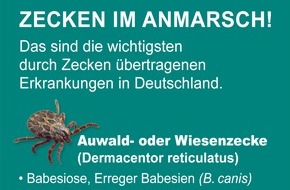 Bundesverband für Tiergesundheit e.V.: Alarmstufe Rot: Zecken im Anmarsch