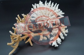 Hauptzollamt Augsburg: HZA-A: Zoll hilft bedrohte Tiere und Pflanzen zu sch&uuml;tzen / 3. M&auml;rz 2026: Tag des Artenschutzes