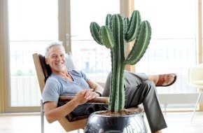 Blumenbüro: Kaktus ist Zimmerpflanze des Monats Juni / Harte Schale, weicher Kern: Der Kaktus ist eine Kämpfernatur (BILD)