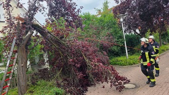 Freiwillige Feuerwehr Celle: FW Celle: Wetterbedingte Eins&auml;tze am Donnerstag