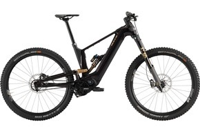 Polizeidirektion Pirmasens: POL-PDPS: Mountainbike im Wert von 10.000 Euro gestohlen
