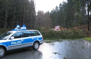 Polizeiinspektion Hameln-Pyrmont/Holzminden: POL-HOL: Bundesstraße 497 - Gemarkung Neuhaus: Sturm bringt vier Bäume zu Fall - Einstündige Straßensperrung erforderlich -