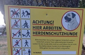 Nordseeheilbad Cuxhaven GmbH: Herdenschutzhunde in den Cuxhavener Küstenheiden