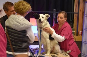 VIER PFOTEN - Stiftung für Tierschutz: QUATRE PATTES participe à la deuxième édition du salon Terr-animale à Saignelégier, dans le canton du Jura