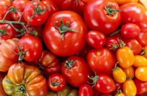 ZDF: ZDF-Doku über das Lieblingsgemüse der Deutschen: "planet e.: Genuss mit Beigeschmack – Tomaten"