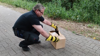 Freiwillige Feuerwehr Celle: FW Celle: Schlange auf Abwegen - Polizei und Feuerwehr im Einsatz!