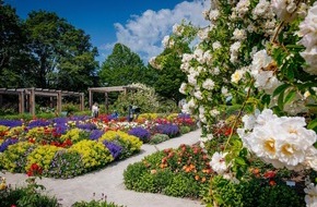 Erfurter Garten- und Ausstellungs gemeinnützige GmbH: Rosenvielfalt und Rosengartenfest im egapark / Der 22. Juni 2025 steht ganz im Zeichen der Königin der Blumen