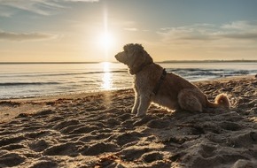 Tourismus-Agentur Schleswig-Holstein GmbH: Aktuelle Presse-Info der TA.SH: Urlaub auf vier Pfoten in Schleswig-Holstein