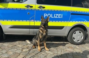 Polizei Hamburg: POL-HH: 240125-2. Walter findet mutmaßlichen Einbrecher in Hamburg-Niendorf - Zuführung