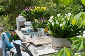 Blumenbüro: Die Blütenqueen verzaubert Balkon & Terrasse im Handumdrehen /
Calla zaubert Vintage-Charme ins Draußen-Wohnzimmer