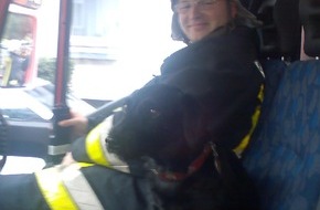 Feuerwehr Essen: FW-E: Wohnungsbrand- Feuerwehr rette einen Mann und seinen Hund