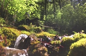 Ein Fenster in die Erdgeschichte - BILD/VIDEO Ein Fenster in die Erdgeschichte - BILD/VIDEO