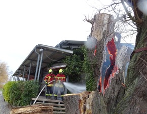 FW Reichenau: Pressemitteilung: Baum am Campingplatz brennt erneut, 02.01.2025, Reichenau-Mittelzell