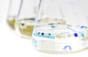WESSLING GmbH: Wie wirkt sich Mikroplastik auf Lebewesen aus? / Abschluss des EU-Forschungsprojekts "MikroPlastiCarrier"