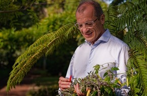 Forschungsgruppe Dr. Feil: Arthrose ist heilbar: Bestsellerautor Dr. Wolfgang Feil enthüllt seine bahnbrechende Strategie zur Knorpelregeneration