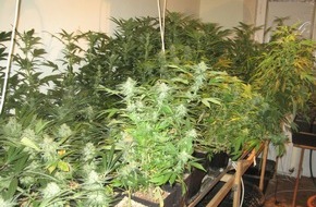 Polizeidirektion Göttingen: POL-GOE: (31/2014) Professionelle Hanfplantage in Wohnung an der Groner Landstraße entdeckt - Erstinformation