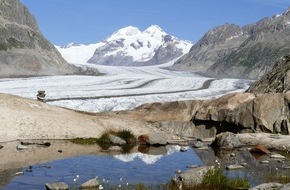 3sat: "Unsere wilde Schweiz": 3sat zeigt vierteilige Doku-Reihe über die Schweizer Natur