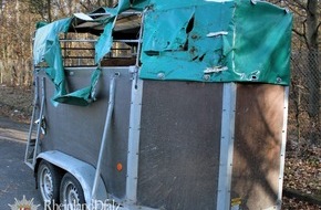 Polizeipräsidium Westpfalz: POL-PPWP: Tierischer Ausflug auf der Autobahn