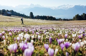 Tourismusgenossenschaft Klausen, Barbian, Feldthurns und Villanders: Erst die Bewegung, dann der Genuss: So startet die Region Klausen in den S&uuml;dtiroler Fr&uuml;hling