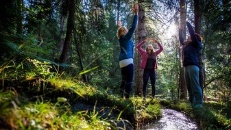 Panta Rhei PR AG: Romantik Hotel Schweizerhof Flims: Den Wald vor lauter Bäumen bewusst sehen