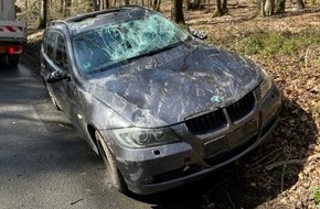 Kreispolizeibehörde Oberbergischer Kreis: POL-GM: Baum stürzt auf vorbeifahrendes Auto