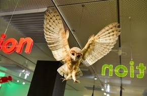 Naturmuseum Solothurn: Mittagsführung in der Sonderausstellung "evolution happens!"