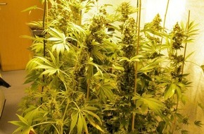 Polizeipräsidium Westpfalz: POL-PPWP: Cannabis in der Wohnung angebaut