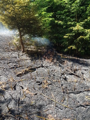 KFV-CW: Ausgedehnter Waldbrand in Bad Wildbad
