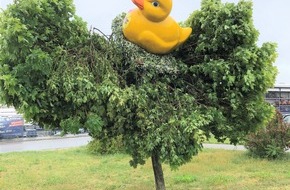 Polizeidirektion Kaiserslautern: POL-PDKL: Diese Ente war standhaft!