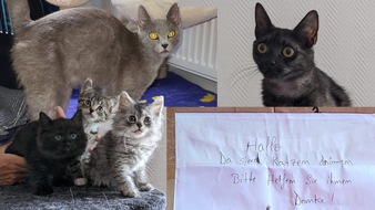 Polizei Gütersloh: POL-GT: Katzenmütter und Kitten ausgesetzt - Zeugen gesucht