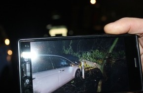 Kreispolizeibehörde Unna: POL-UN: Werne - Verkehrsunfall mit einer leichtverletzten Person - Baum lag quer auf der Varnhöveler Straße