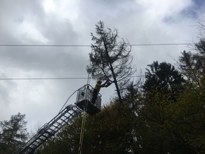 FW Lügde: Technische Hilfe / Baum in 30 KV Leitung