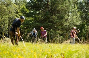 Bergwaldprojekt e.V.: PRESSEMITTEILUNG: Nach monatelanger Corona-Pause: Bergwaldprojekt e.V. setzt sich mit fast 20 Freiwilligen im Lechtal wieder für die Artenvielfalt ein