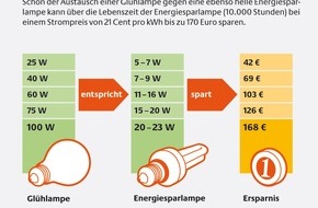 Deutsche Energie-Agentur GmbH (dena): Freie Fahrt für die Energiesparlampe / dena bietet Online-Hilfe für den Lampentausch