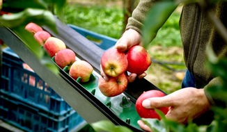 Kaufland: Nachhaltiges Pflanzenschutzmanagement: Kaufland veröffentlicht Report