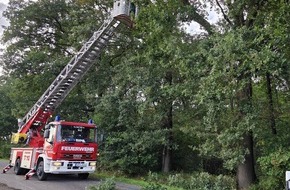 Freiwillige Feuerwehr H&uuml;nxe: FW H&uuml;nxe: Baumkrone droht abzust&uuml;rzen